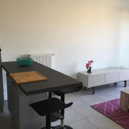 Apartment 2 Pieces Terrasse Garage 5 Mins Les Printemps *
