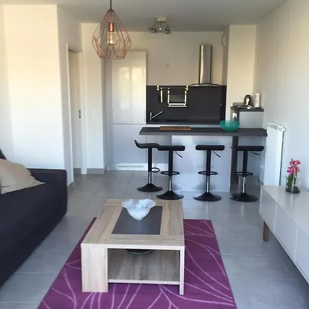 Apartment 2 Pieces Terrasse Garage 5 Mins Les Printemps *